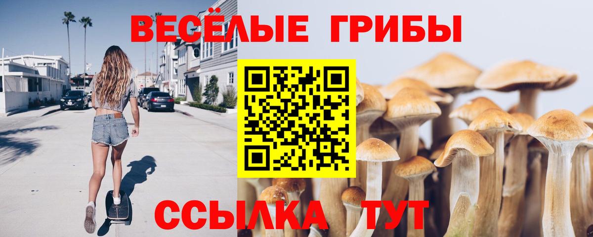 Когалым  Галлюциногенные грибы MAGIC MUSHROOMS  Вход с VPN  Псилоцибиновые грибы прущие грибы 
