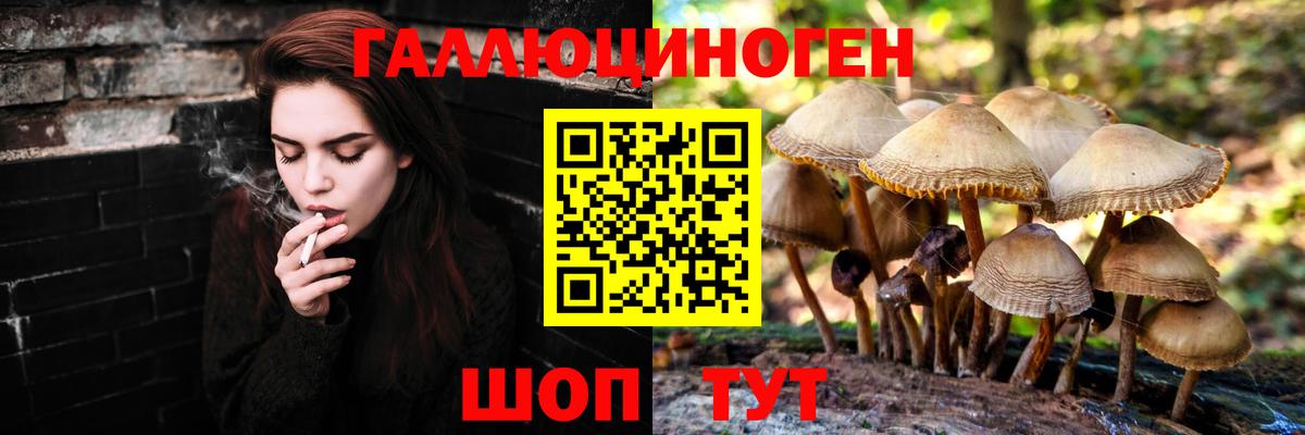 Галлюциногенные грибы MAGIC MUSHROOMS Когалым
